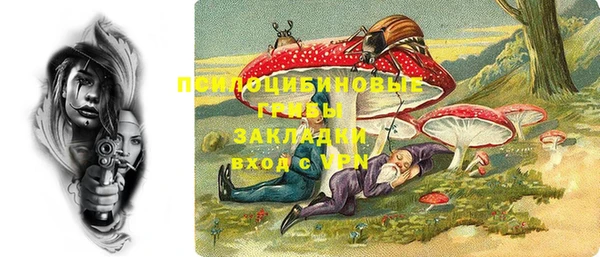 винт Аркадак