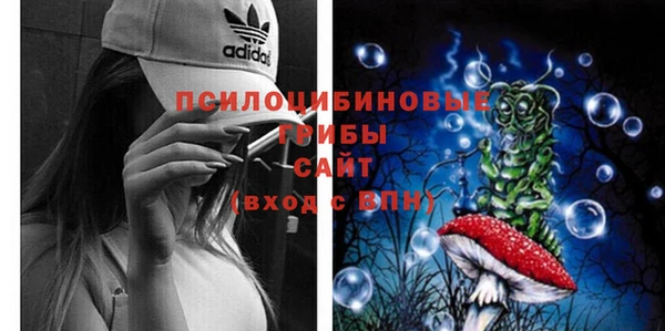 винт Аркадак