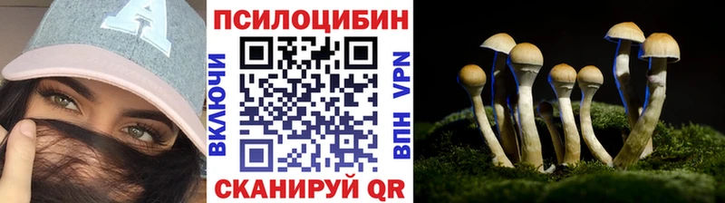 купить наркотик  Городец  Галлюциногенные грибы Magic Shrooms 